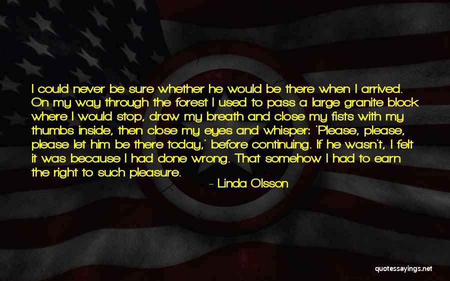 Before I Close My Eyes Quotes By Linda Olsson Before I Close My Eyes Quotes By Linda Olsson