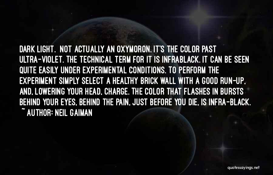 Before I Die Wall Quotes By Neil Gaiman
