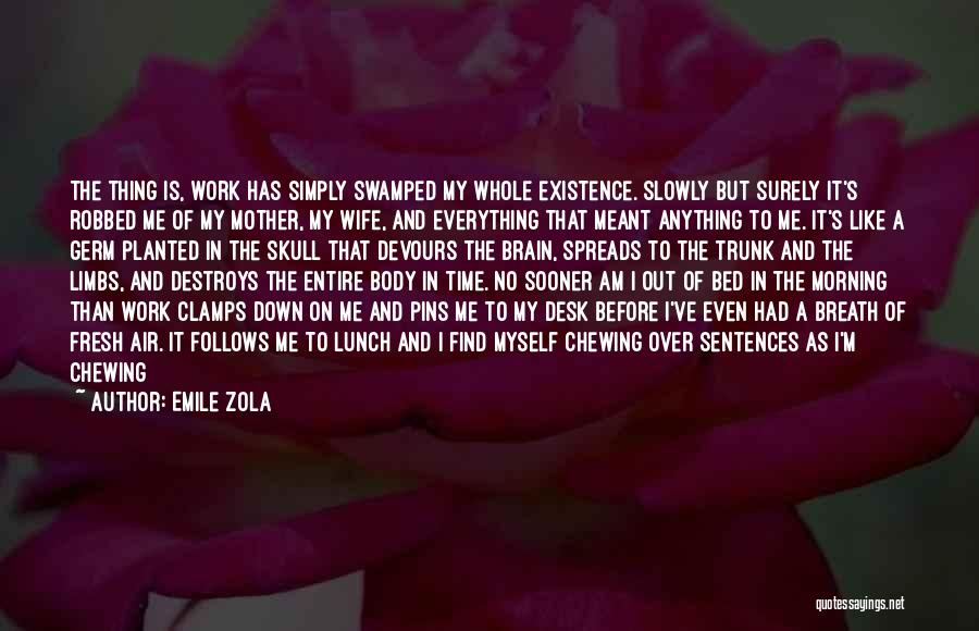 Before I Go To Bed Quotes By Emile Zola
