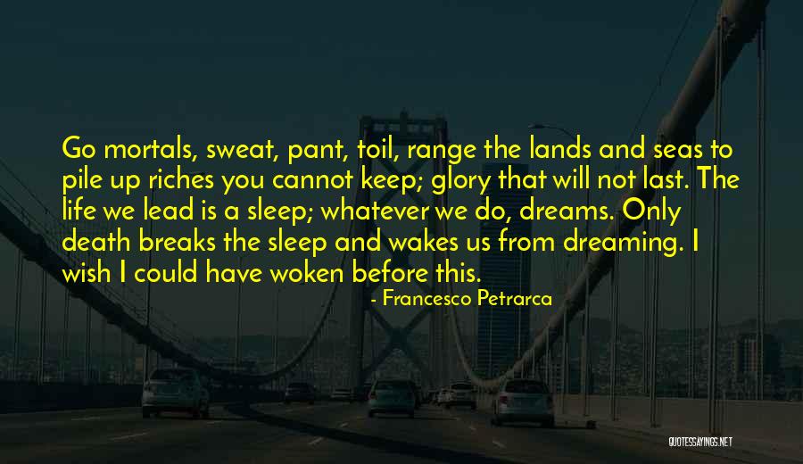 Before I Go To Sleep Quotes By Francesco Petrarca