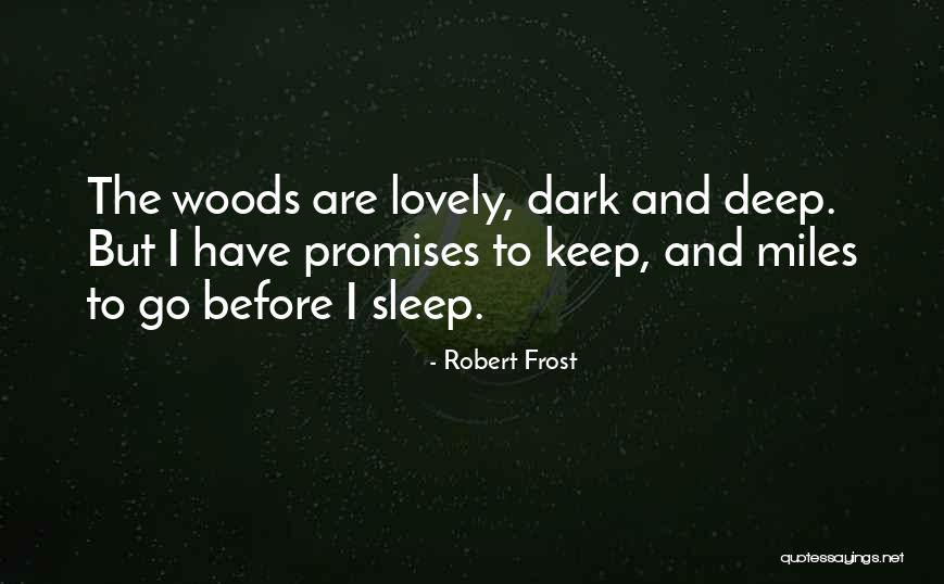 Before I Go To Sleep Quotes By Robert Frost