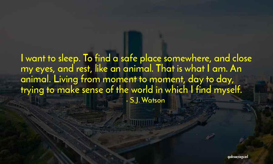 Before I Go To Sleep Quotes By S.J. Watson