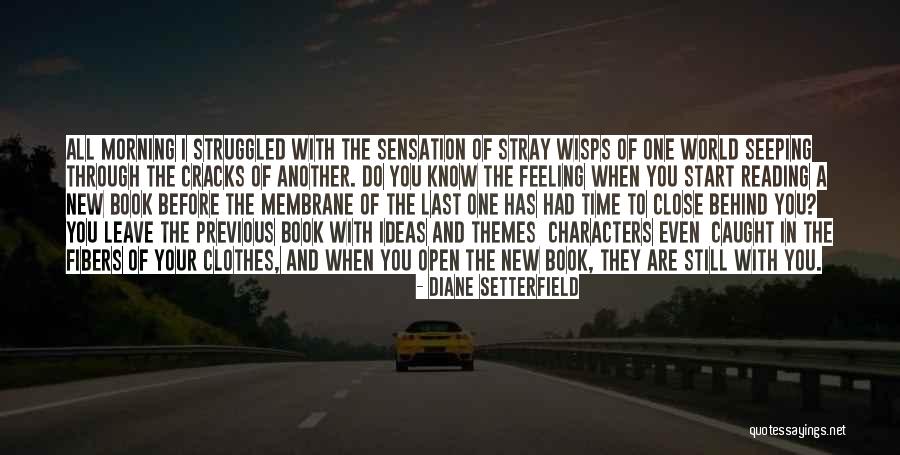 Before I Leave This World Quotes By Diane Setterfield