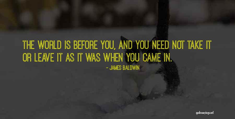 Before I Leave This World Quotes By James Baldwin