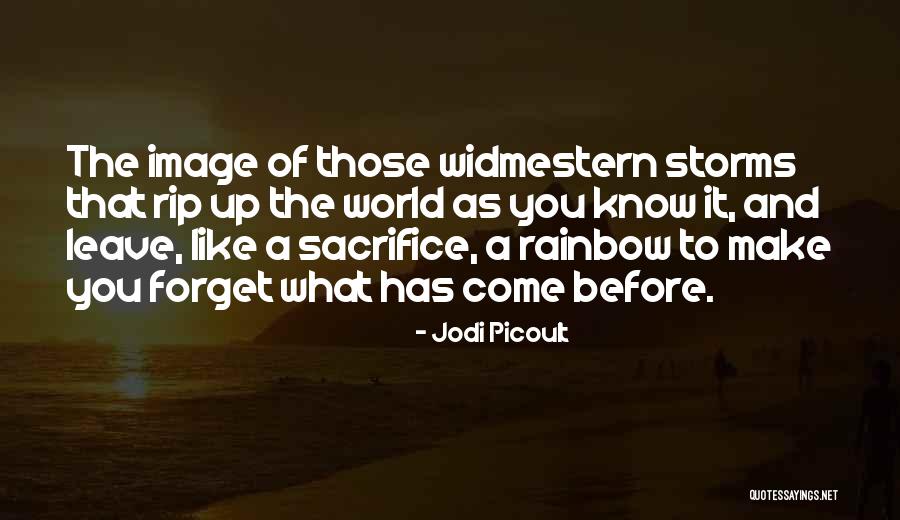 Before I Leave This World Quotes By Jodi Picoult