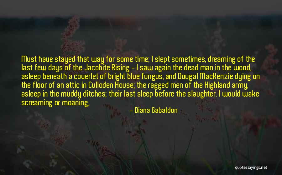 Before I Wake Quotes By Diana Gabaldon