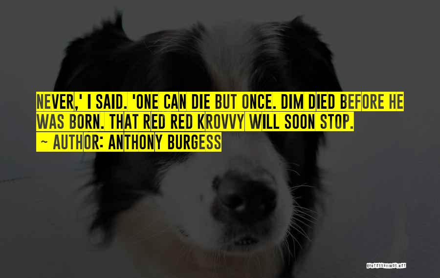 Before I Was Born Quotes By Anthony Burgess