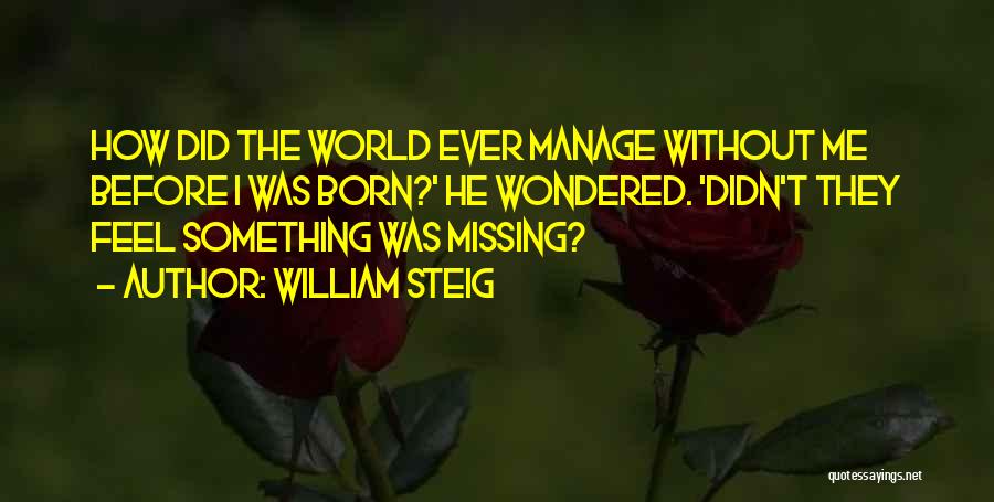 Before I Was Born Quotes By William Steig