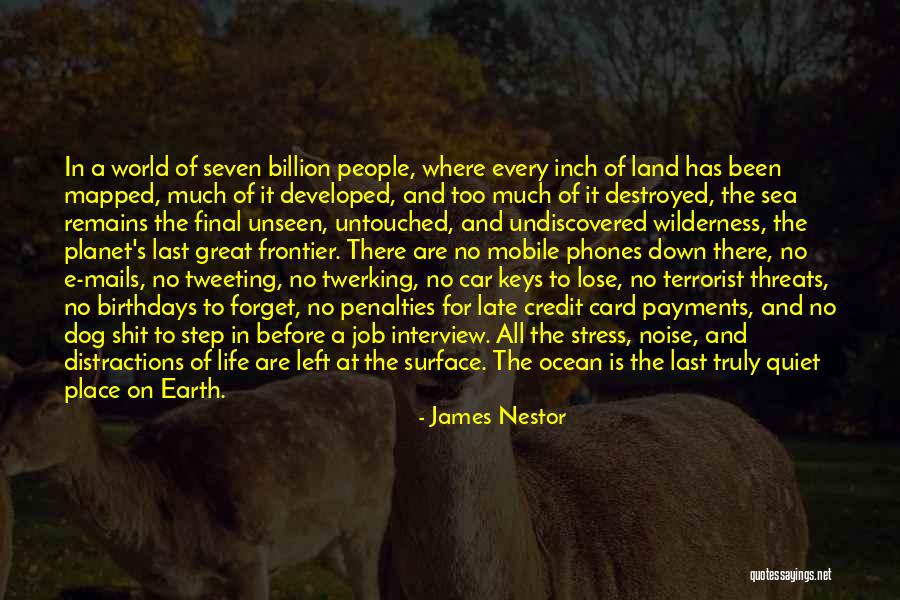 Before It Is Too Late Quotes By James Nestor Before It Is Too Late Quotes By James Nestor