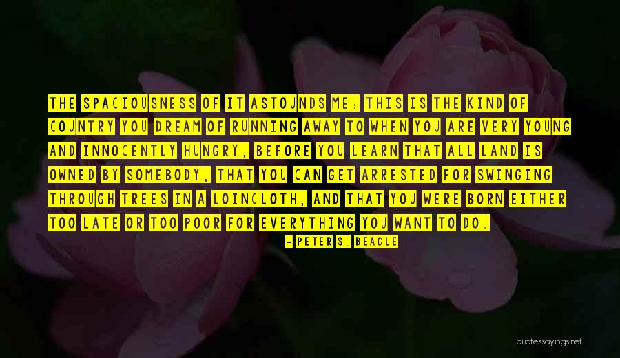 Before It Is Too Late Quotes By Peter S. Beagle Before It Is Too Late Quotes By Peter S. Beagle