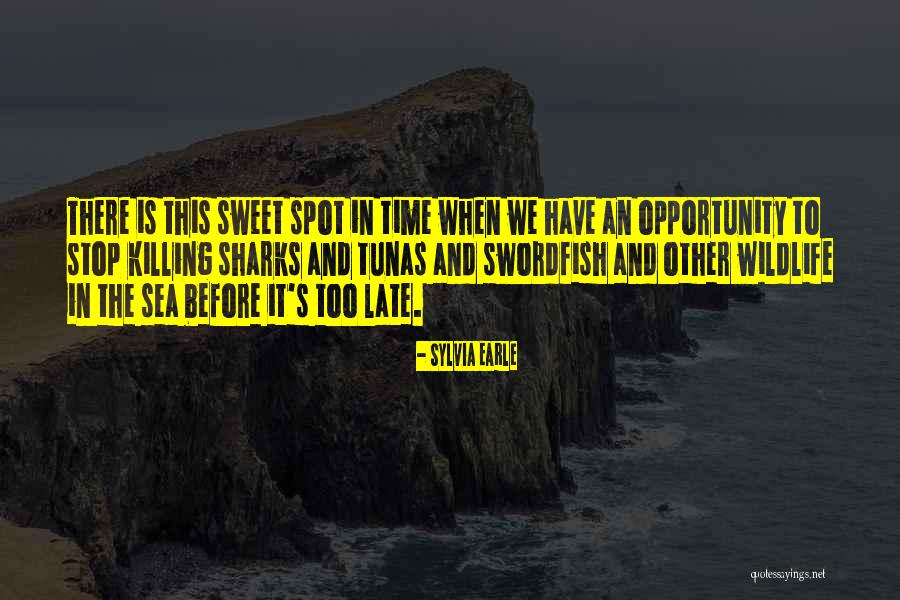 Before It Is Too Late Quotes By Sylvia Earle Before It Is Too Late Quotes By Sylvia Earle