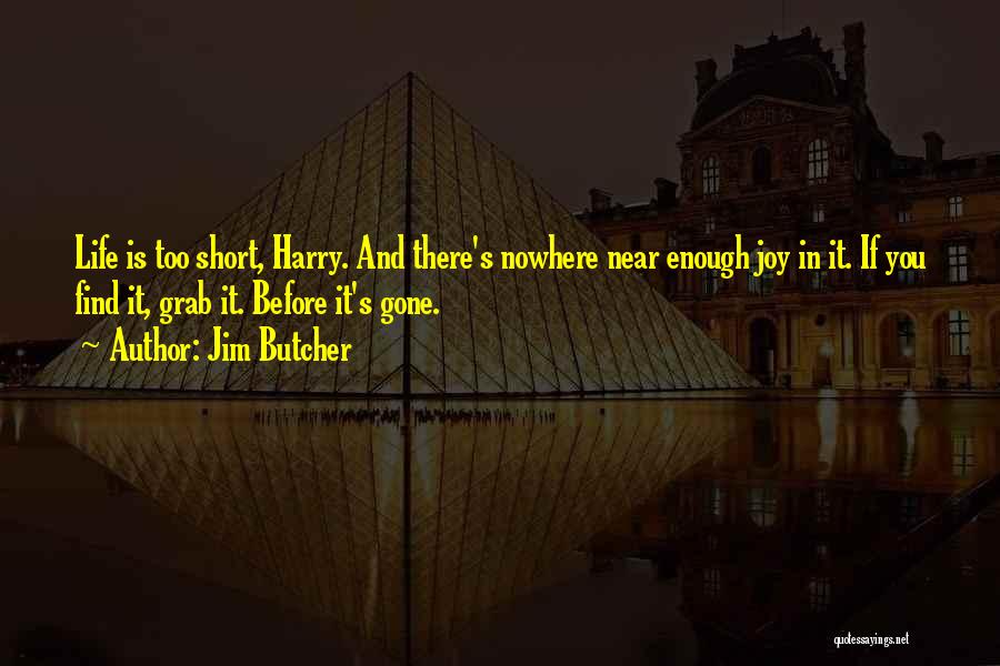 Before It's Gone Quotes By Jim Butcher