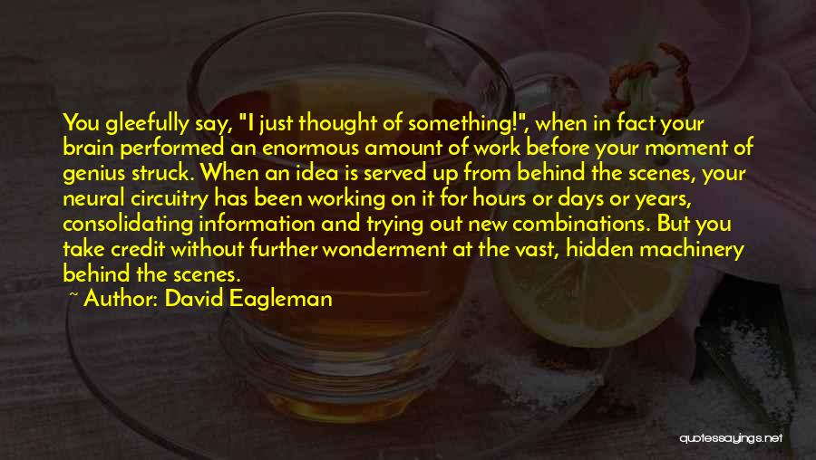 Before New Years Quotes By David Eagleman