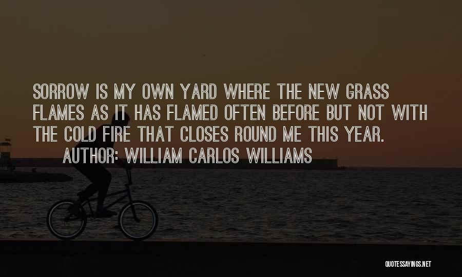 Before New Years Quotes By William Carlos Williams