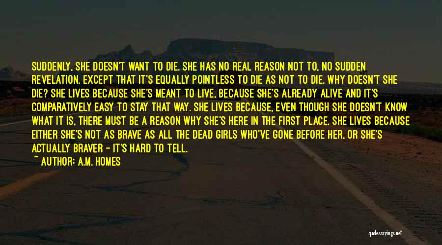 Before She Is Gone Quotes By A.M. Homes