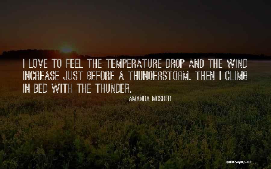 Before The Storm Quotes By Amanda Mosher