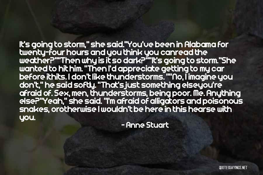 Before The Storm Quotes By Anne Stuart