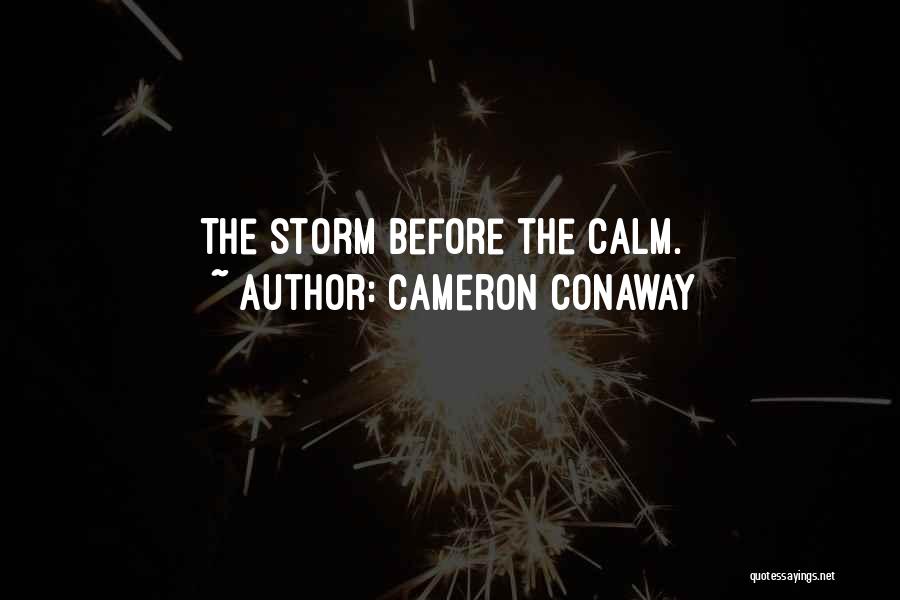 Before The Storm Quotes By Cameron Conaway
