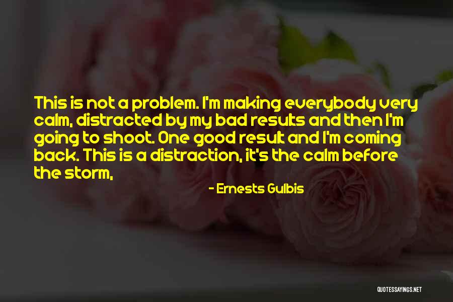 Before The Storm Quotes By Ernests Gulbis