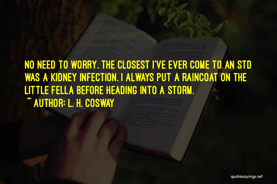 Before The Storm Quotes By L. H. Cosway