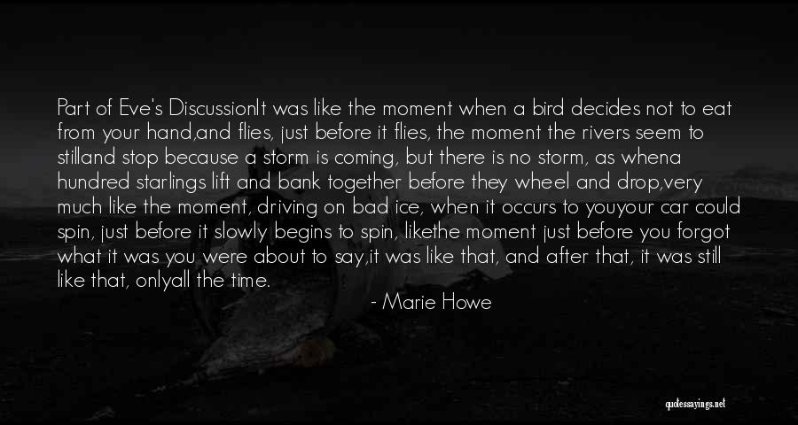 Before The Storm Quotes By Marie Howe