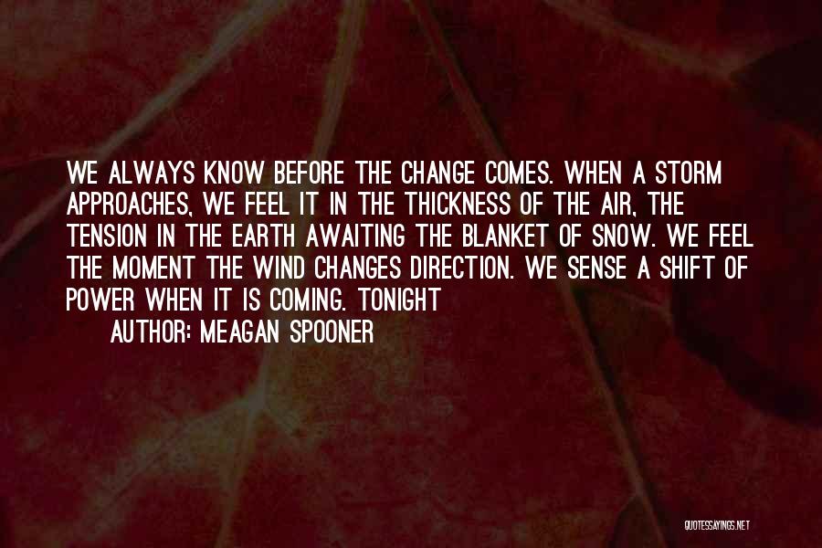 Before The Storm Quotes By Meagan Spooner
