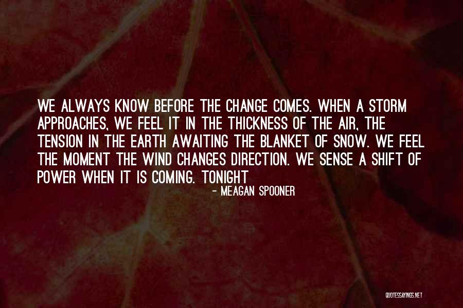 Before The Storm Quotes By Meagan Spooner