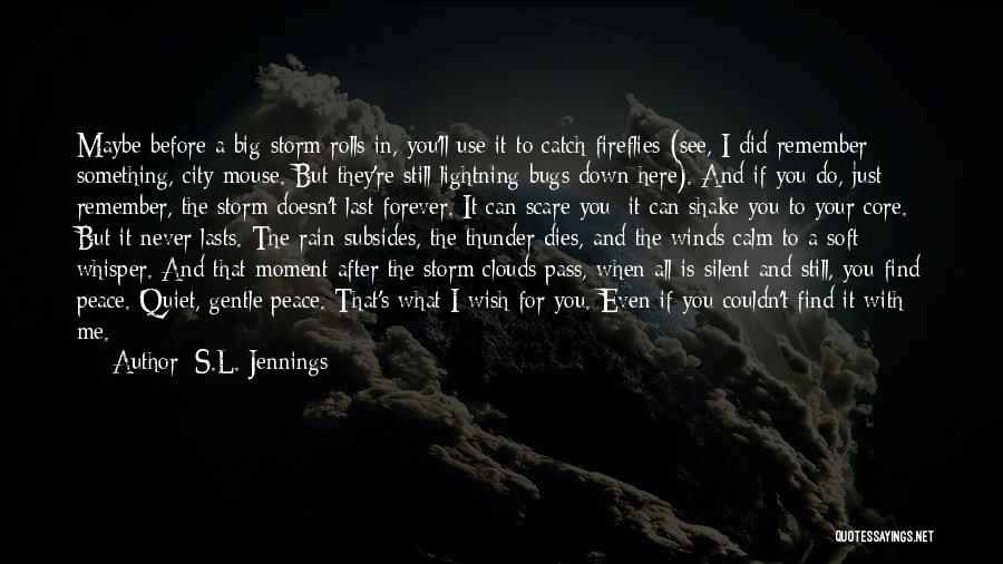 Before The Storm Quotes By S.L. Jennings