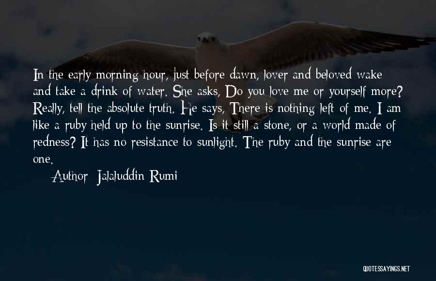 Before The Sunrise Quotes By Jalaluddin Rumi