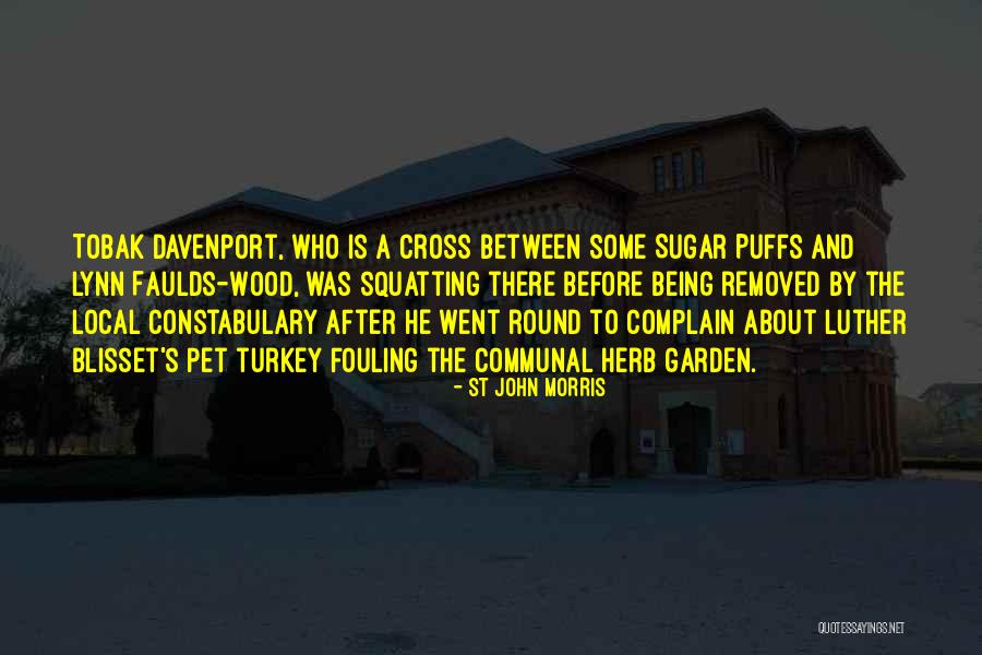 Before There Quotes By St John Morris Before There Quotes By St John Morris