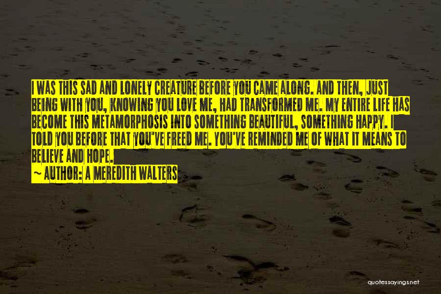 Before You Came Into My Life Quotes By A Meredith Walters