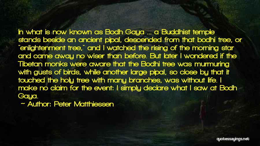 Before You Came Into My Life Quotes By Peter Matthiessen
