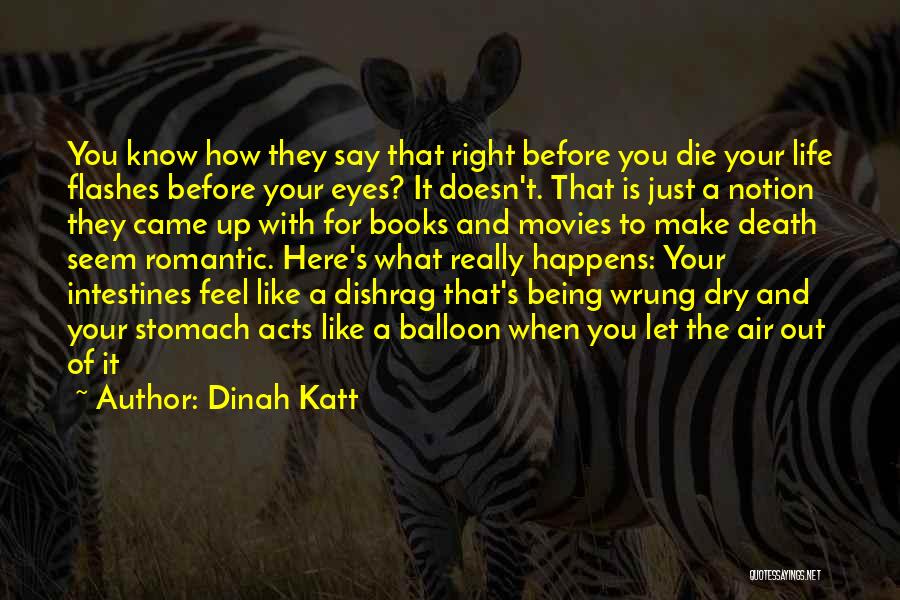 Before You Came Quotes By Dinah Katt