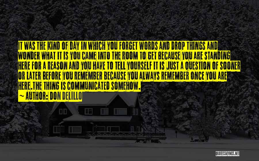 Before You Came Quotes By Don DeLillo