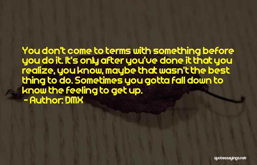 Before You Fall Quotes By DMX