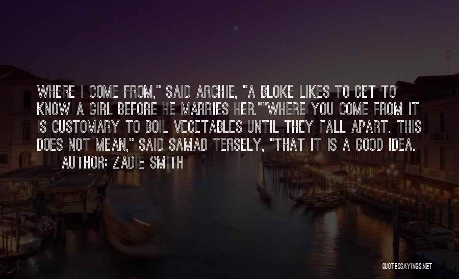 Before You Fall Quotes By Zadie Smith