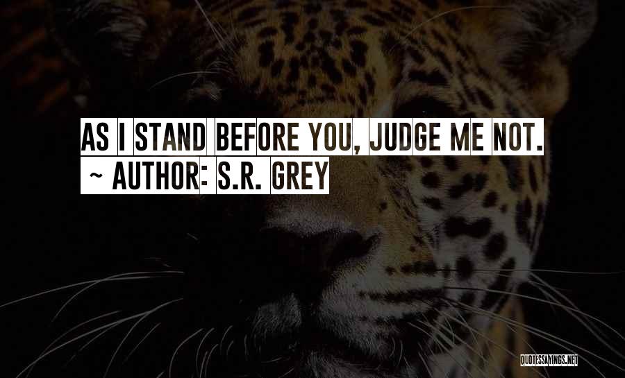 Before You Judge Me Quotes By S.R. Grey