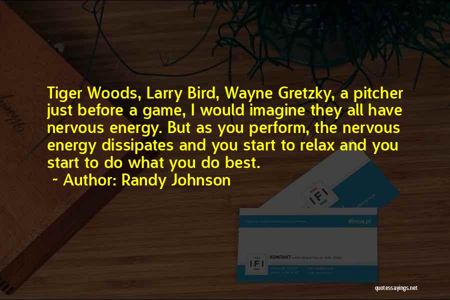 Before You Start Quotes By Randy Johnson