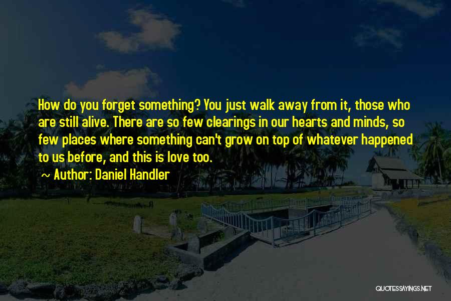 Before You Walk Away Quotes By Daniel Handler