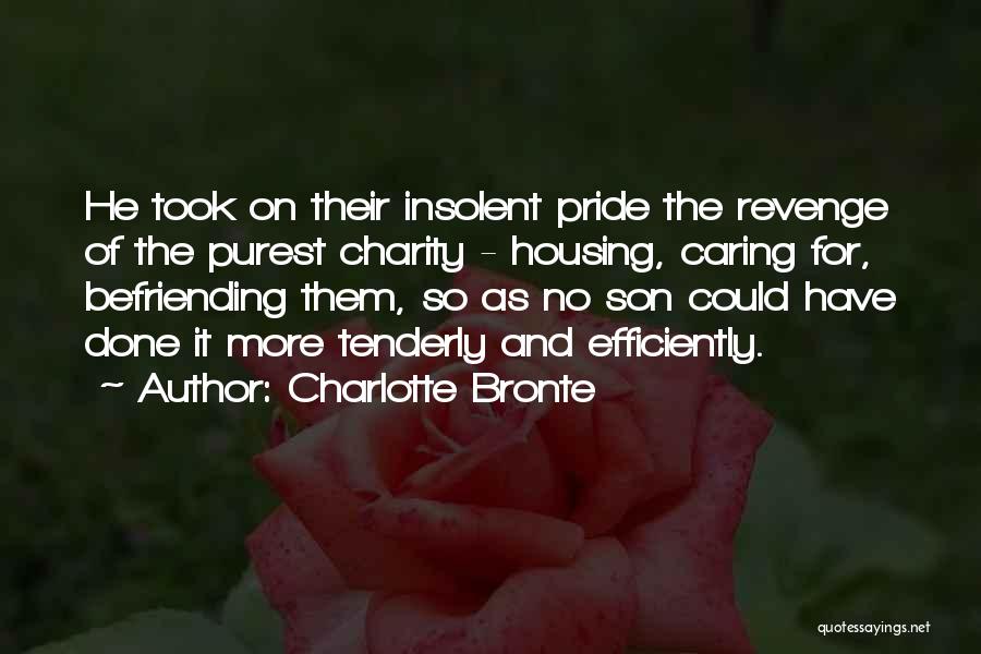 Befriending Quotes By Charlotte Bronte