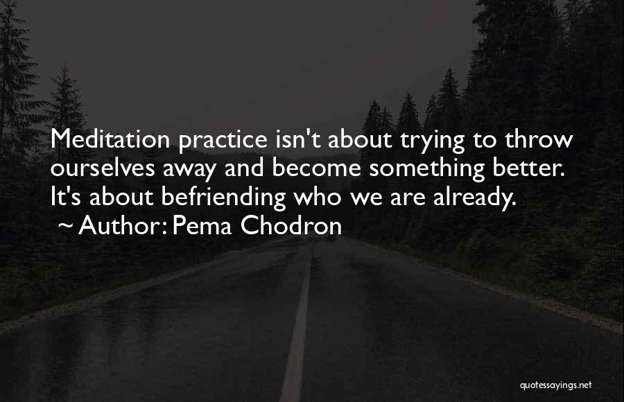 Befriending Quotes By Pema Chodron