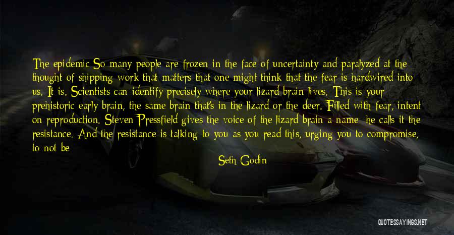 Befriending Yourself Quotes By Seth Godin