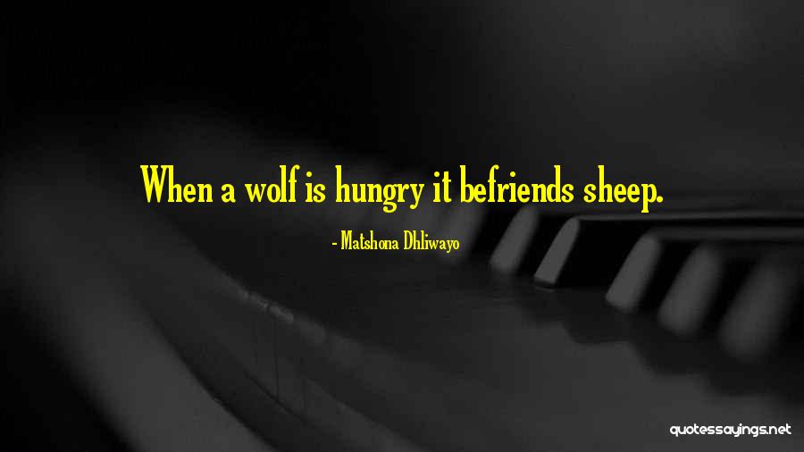 Befriends Quotes By Matshona Dhliwayo Befriends Quotes By Matshona Dhliwayo