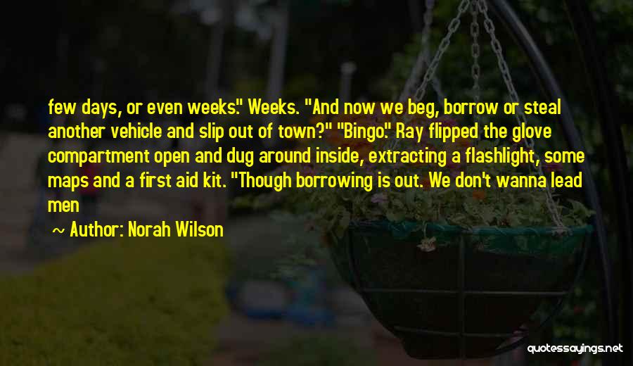 Beg Borrow Steal Quotes By Norah Wilson