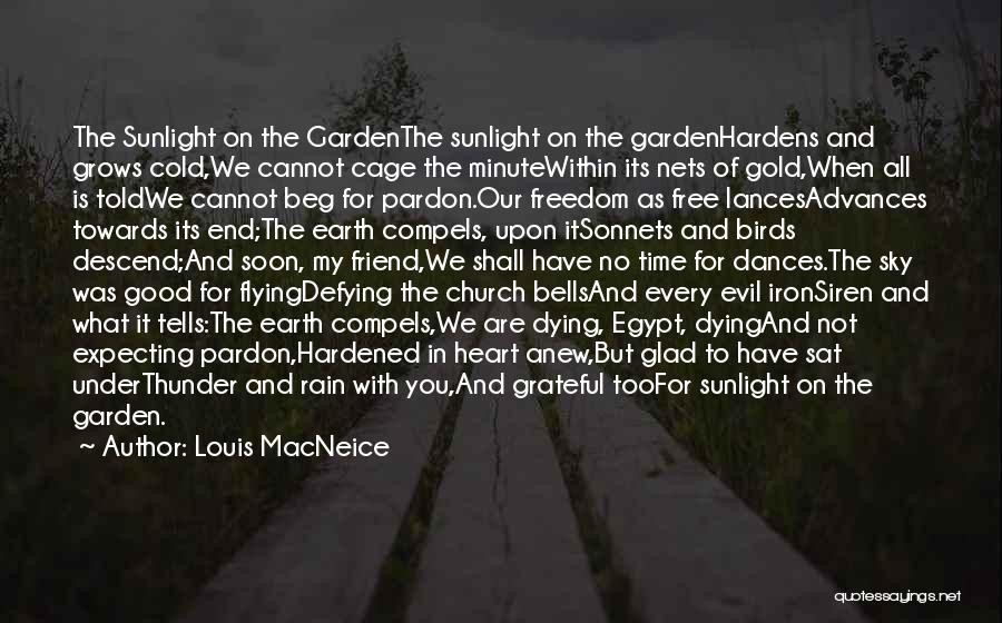 Beg Friend Quotes By Louis MacNeice
