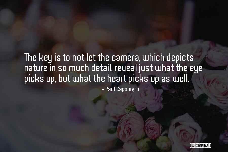 Begala Light Quotes By Paul Caponigro Begala Light Quotes By Paul Caponigro