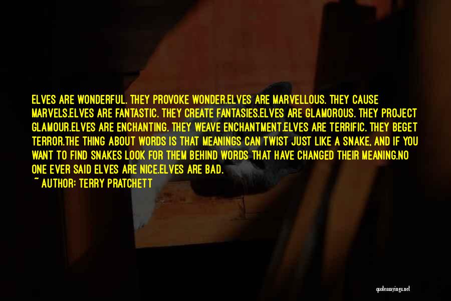 Beget Quotes By Terry Pratchett