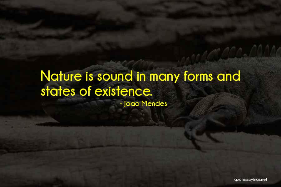 Begetube Quotes By Joao Mendes Begetube Quotes By Joao Mendes