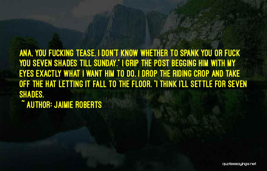 Begging You Quotes By Jaimie Roberts