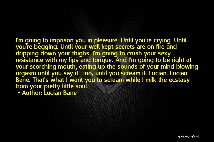 Begging You Quotes By Lucian Bane